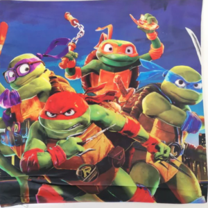 Ninja Turtle Cushion