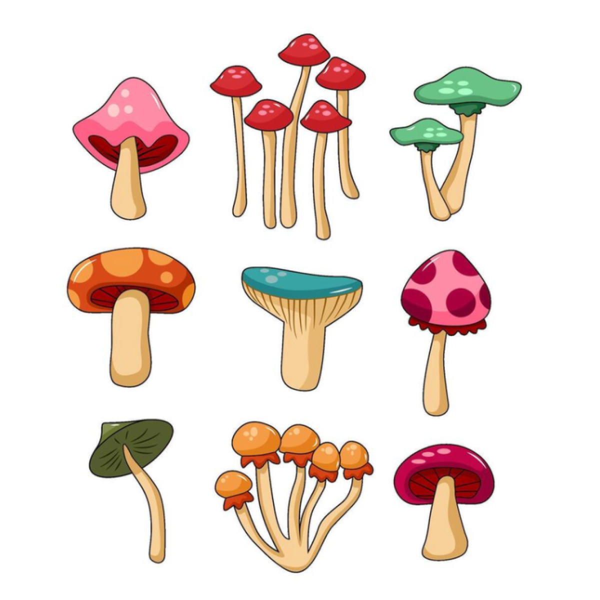 Mushrooms