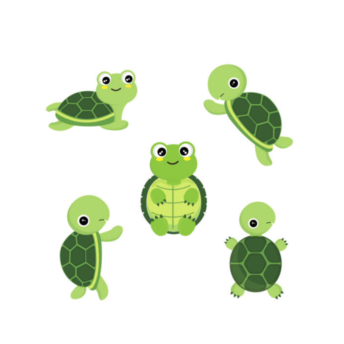 Turtles